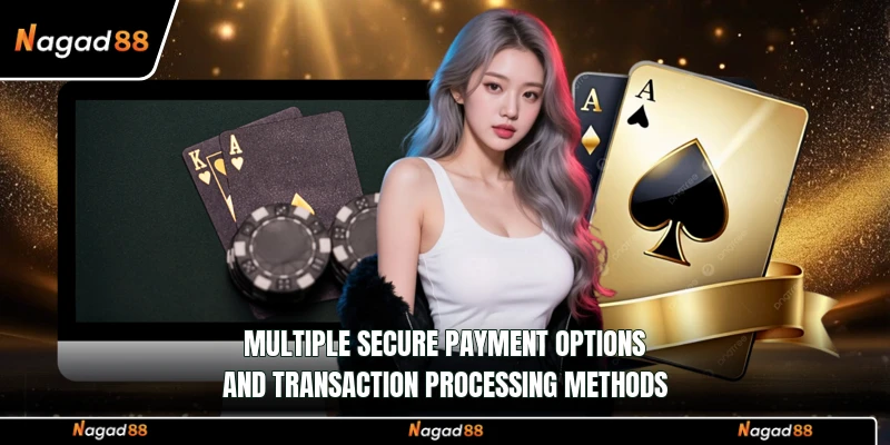 Multiple secure payment options and transaction processing methods