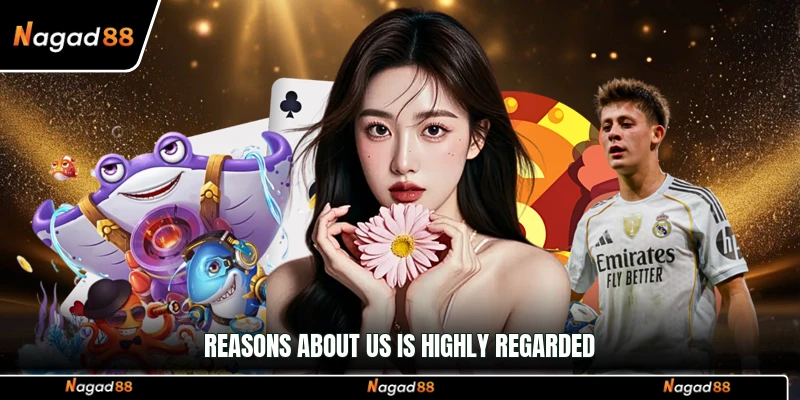Reasons About us Is Highly Regarded