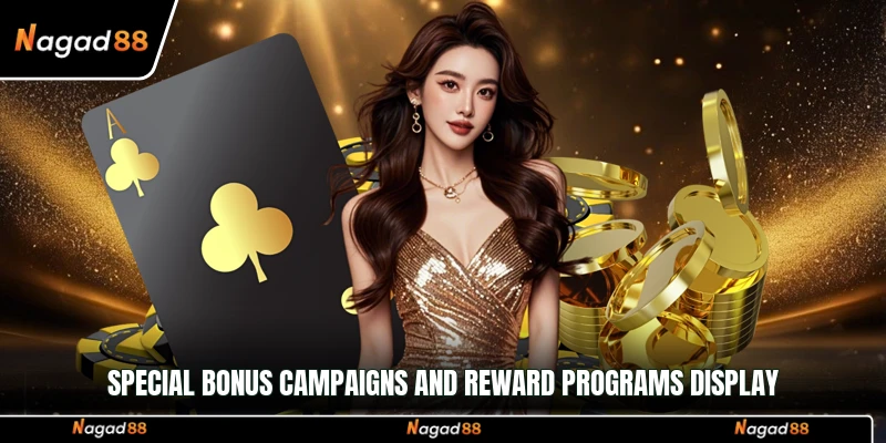Special bonus campaigns and reward programs display