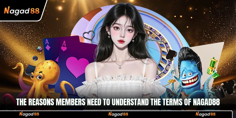 The reasons members need to understand the terms of Nagad88