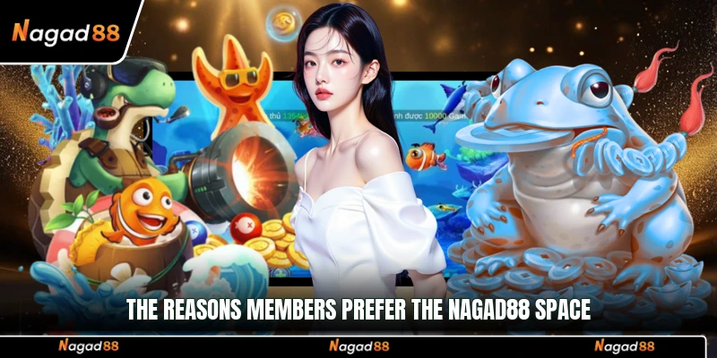 The reasons members prefer the Nagad88 space